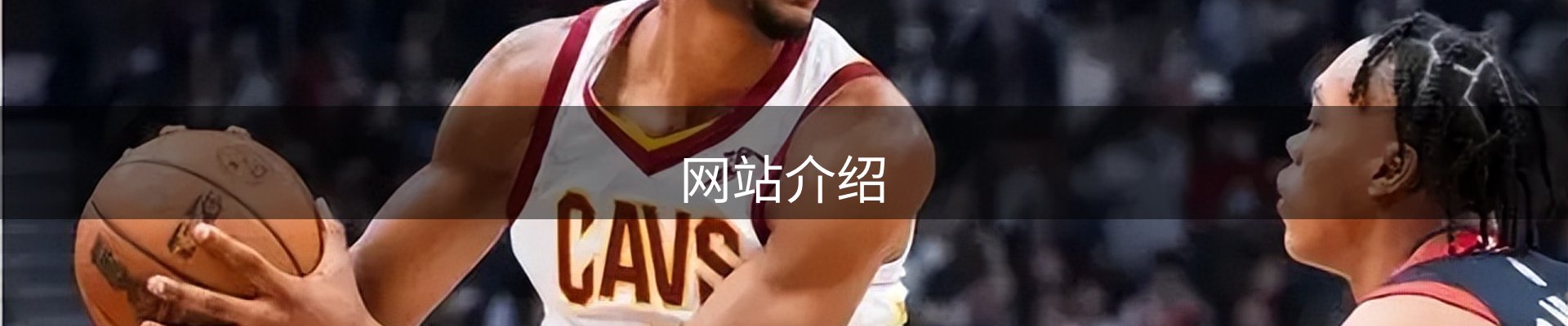网站介绍